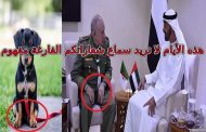 ألا يوجد رجل في حكام الجزائر ليندّد بتطبيع الإمارات مع الصهاينة