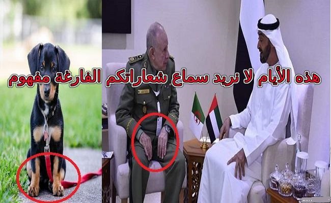 ألا يوجد رجل في حكام الجزائر ليندّد بتطبيع الإمارات مع الصهاينة