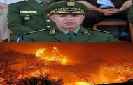 بعد كشف الأحرار لسياسة الأرض المحروقة إنهاء مهام اللواء عرعار