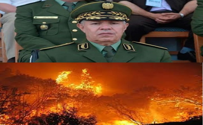 بعد كشف الأحرار لسياسة الأرض المحروقة إنهاء مهام اللواء عرعار