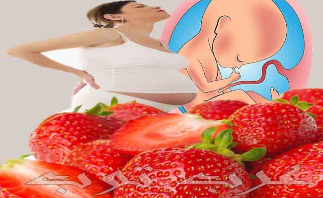 الفراولة صحية ومفيدة للحامل...وهذا هو الدليل!