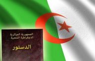 نصير عنان : التصويت بنعم على الدستور 