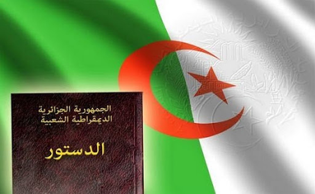 نصير عنان : التصويت بنعم على الدستور