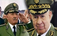 الفريق بن علي والفريق شنقريحة من سيقتل الأخر هو الأول
