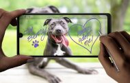 LG تطلق الهاتفين LG K42 و LG K71...