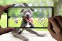هذا هو سبب تأخر إطلاق التحديث للهاتفين OnePlus 5 و OnePlus 5T...