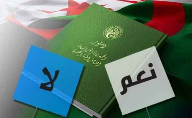 رئيس حزب جبهة النضال الوطني: المشاركة في الاستفتاء
