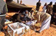 انطلاق عملية التصويت على الدستور بالمكاتب المتنقلة بالجنوب الكبير