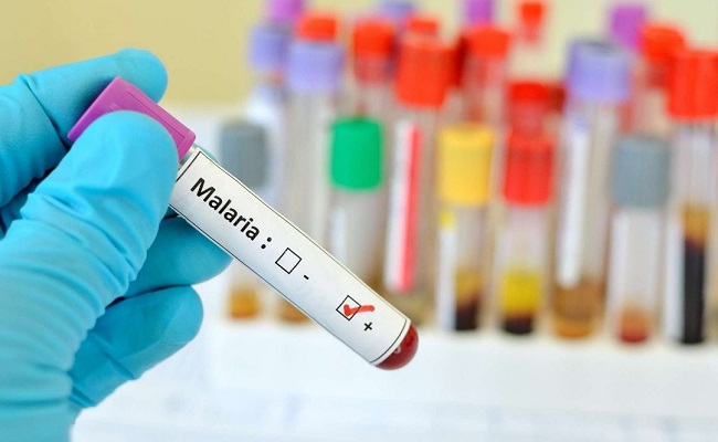 الملاريا تصل باتنة والأرصاد الجوية تحذر من  استمرار تساقط أمطار غزيرة