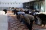 وفاة ستينية و طفلة على إثر سقوطهما في بئر ببلدية فكيرينة بأم البواقي