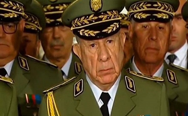 الجنرالات وصناعة دولة الغاب بالجزائر