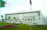 إدانة جزائرية للاعتداء الإرهابي ضد مزارعين شمال شرق نيجيريا