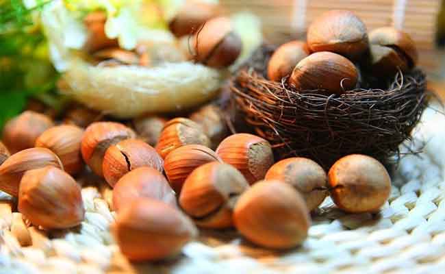 الى جانب فوائده الصحية العديدة...هل يساعد البندق على خفض الكوليسترول؟