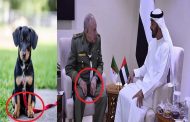 سكوب بأوامر من بن زايد بن سلمان يمنح 5 ملايير دولار للجزائر