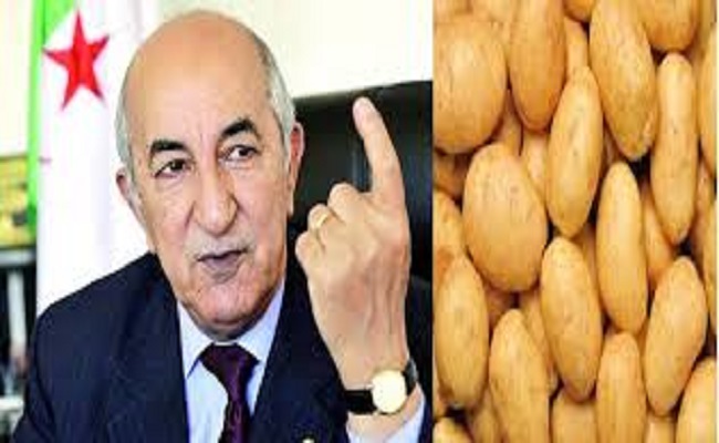 الجزائر ستصدر البطاطس بدل الغاز والبترول