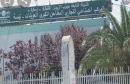 زكاة الفطر لهذا العام محددة في 120 دج