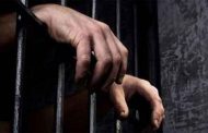 الحكم بين سنتين و ثلاث سنوات على بائعي لحوم الحمير و البغال بباتنة