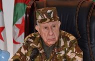 الجنرال شنقريحة أغبى وأحقر جنرال حكم الجزائر