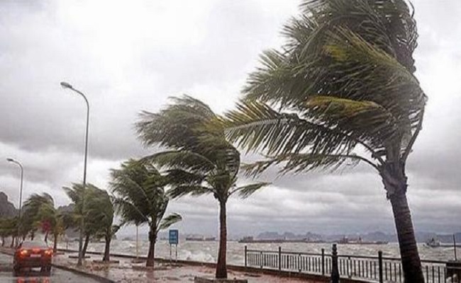 نشرة تحذيرية لرياح قوية وأمواج عالية على السواحل
