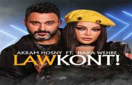 هيفاء وهبي وأكرم حسني يلتقيان لأول مرة في 