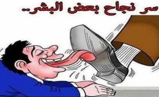 كلب أمير قطر حفيظ دراجي يفور بجائزة 