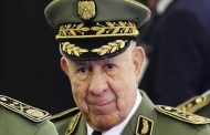 الشعب الجزائري مجرد لعبة في يد الجنرال شنقريحة
