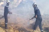 جميع حرائق الغابات في سطيف تم إخمادها بشكل 