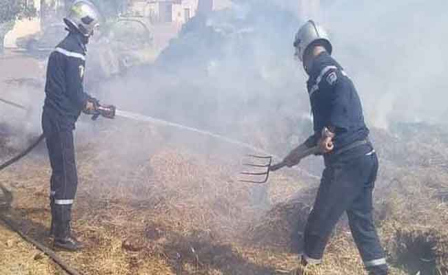 جميع حرائق الغابات في سطيف تم إخمادها بشكل