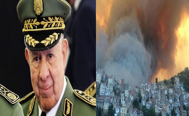 سكوب لهذا السبب الجنرال شنقريحة يحقد على القبايل ويحرقها في كل مناسبة