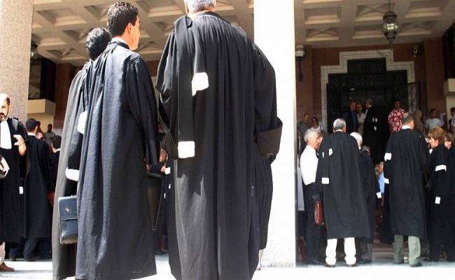 محاميو الجزائر يطالبون بالكشف عن المتسببين في الحرائق