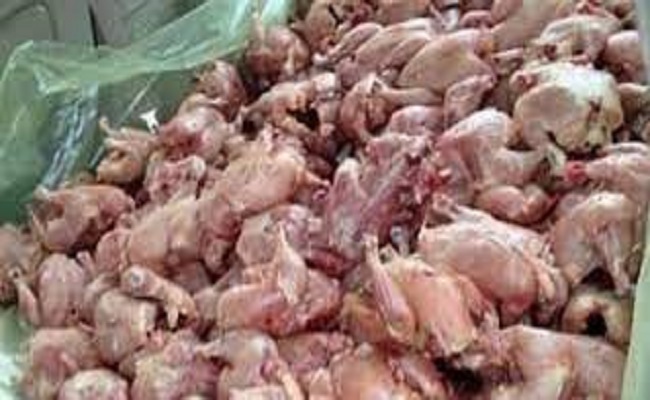 حجز كمية كبيرة من اللحوم البيضاء الفاسدة