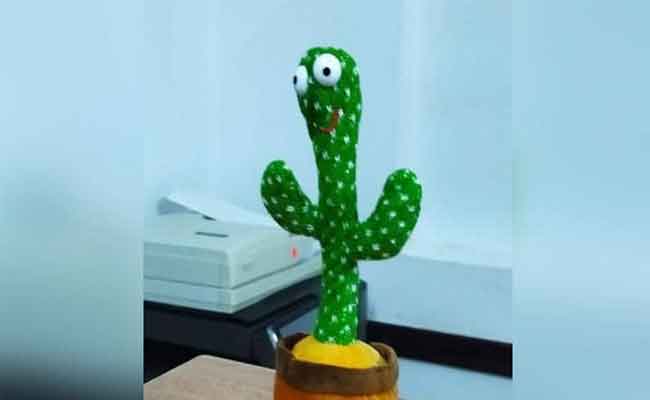 تنبّهوا من لعبة الصبارة الراقصة...تأثيراتها سلبية جداً على أطفالكم!