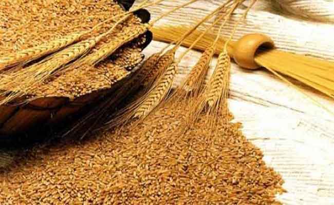 مضاعفاتٌ خطيرة يتعرّض لها من يعاني من تحسّس القمح!