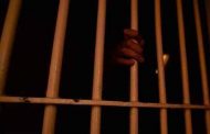 عفو رئاسي على حوالي 3000 محبوس بمناسبة الذكرى الـ 67 لاندلاع ثورة التحرير...