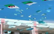 فضيحة نسبة المشاركة في انتخابات المحلية لم تتعدى 3.27 بالمائة