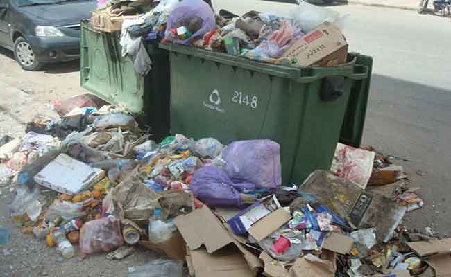 مجلس المحاسبة في تقريره السنوي : تسيير النفايات المنزلية