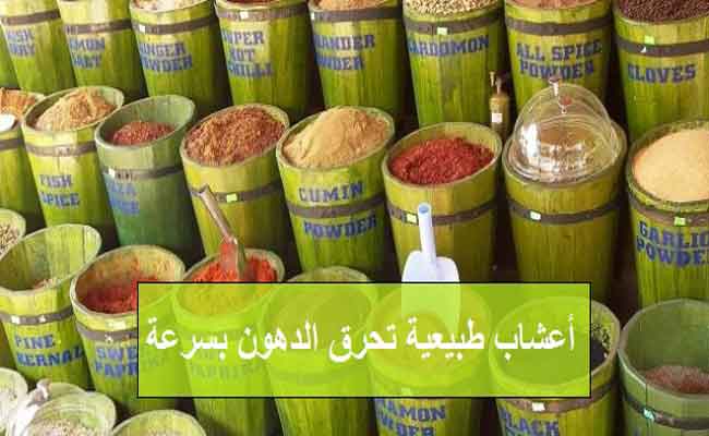 لحرق دهون البطن بسرعة...اليكم بعض الأعشاب الفعّالة!