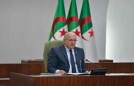 انتقاد بوغالي لـ