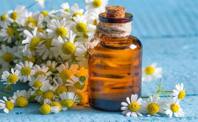 هل فكّرتِ يوماً باستخدام زيت البابونج لبشرة أكثر نضارة؟