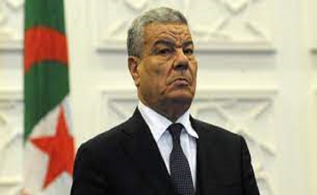 جاء الدور على عمار سعداني
