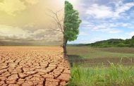 كيف تؤثر التقلبات المناخية في الربيع عليكم صحيّاً؟