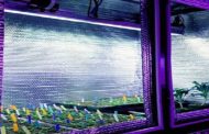 أضواء وتأثيرها العجيب في نمو النباتات LED...