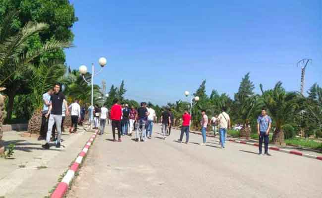 إصابات في شجار عنيف بين طلبة وغرباء مسلحين بجامعة الجيلالي بونعامة في خميس مليانة