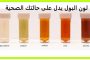تنظيم القاعدة يظهر من جديد في اليمن