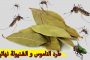 الديك الرومي المدخن...هل هو مناسب للرجيم؟