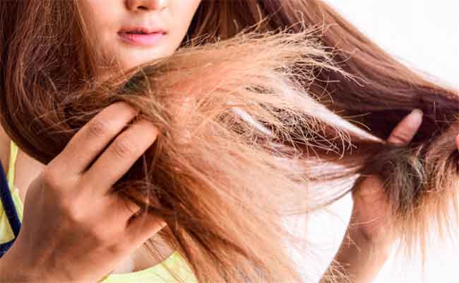 3 ماسكات طبيعية مذهلة تودّعين معها الشعر الجاف وتستعيدين حيويته!