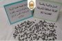 درك العاصمة يضع مخططا خاصا لتأمين موسم الاصطياف 2022