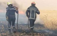 النيران تلتهم حقلا للحبوب بمزرعة بتيارات