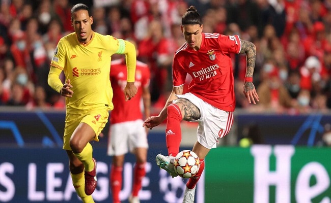 ليفربول يريد ضم داروين نونيز مهاجم بنفيكا...