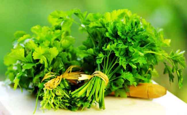 ماذا تعرفون عن فوائد الكزبرة الخضراء؟